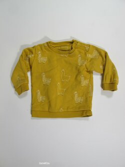 Obrázková mikina pro kluky secondahnd Obrázková mikina pro kluky secondahnd