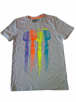 Šedé triko s obrázkem pro kluky secondhand DWD