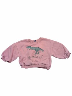 Růžová mikina s dinosaurem pro holky secondhand Jessyca Kids