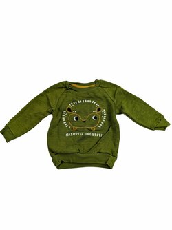 Zelená mikina s ježečkem pro kluky secondhand