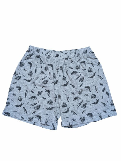 Šedé kraťasy Jurský svět pro kluky secondhand