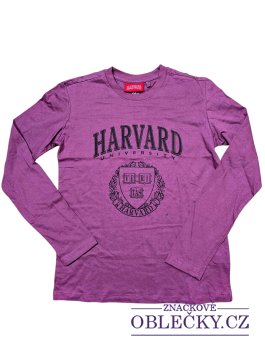 Zvětšit Tmavě fialové triko Harvard secondhand Sinsay